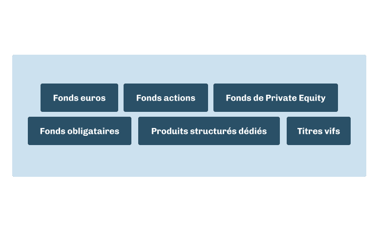 Supports assurance vie luxembourgeoise