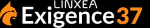 Logo Exigence 37 Spirit