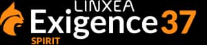 Logo Exigence 37 Spirit