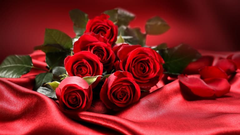 Bouquet de roses rouges
