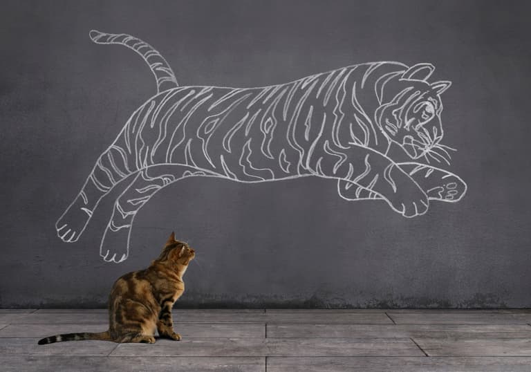 Chat regardant un tigre dessiné sur un mur