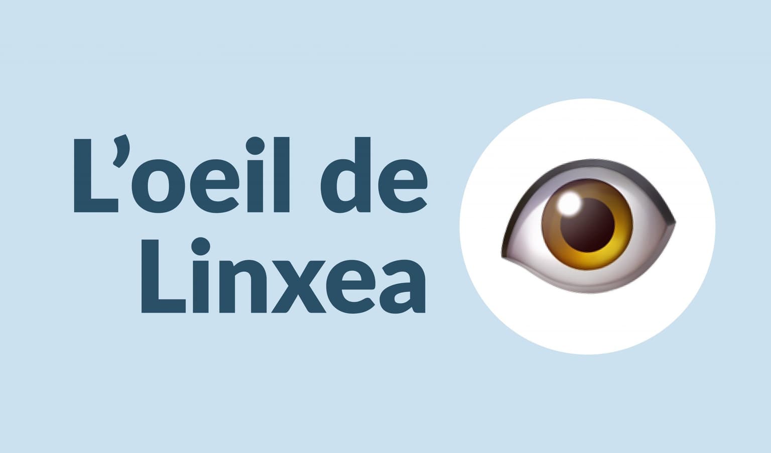 oeil-linxea-scaled-1