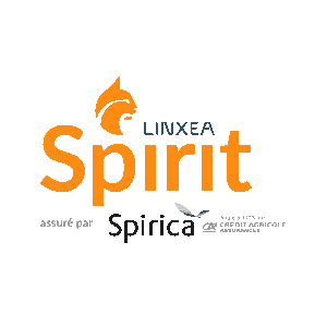 Logo Spirit