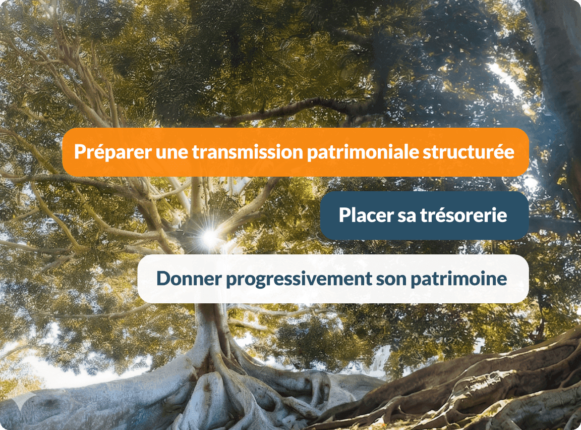 Préparer une transmission patrimoniale structurée, placer sa trésorerie et donner progressivement son patrimoine.