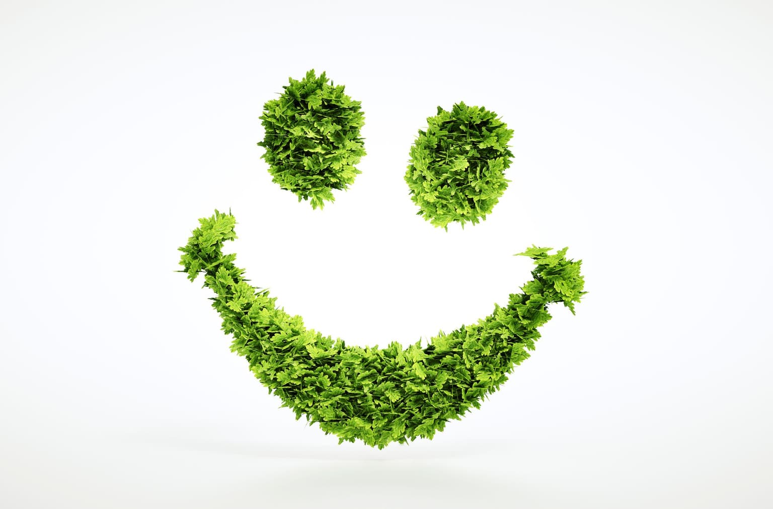 Smiley écologique