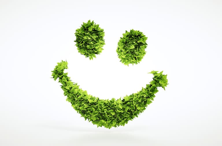 Smiley écologique