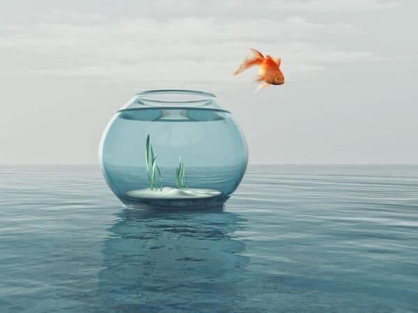 iStock-810130116