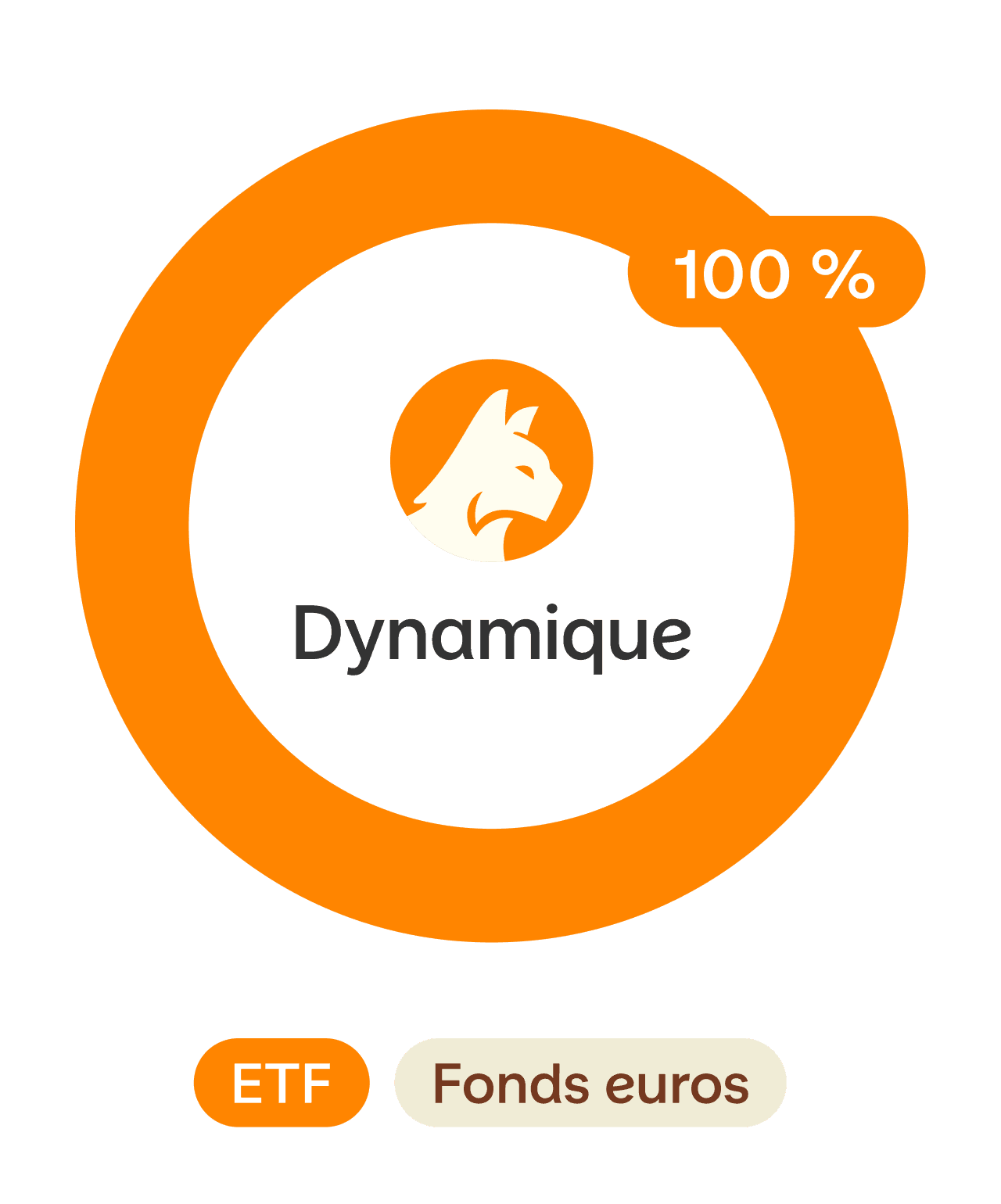 Profil dynamique