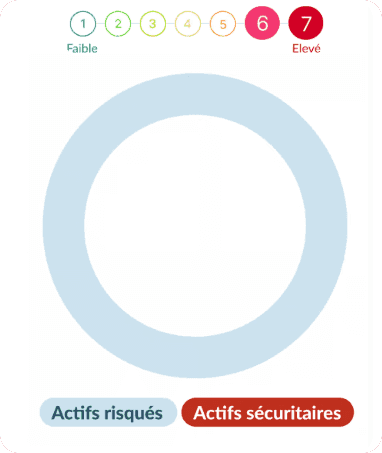 Otea Capital - Risques du profil agressif