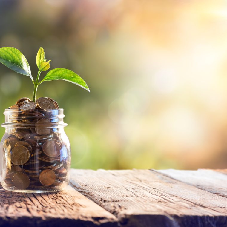 Pousse dans un tas de pièces