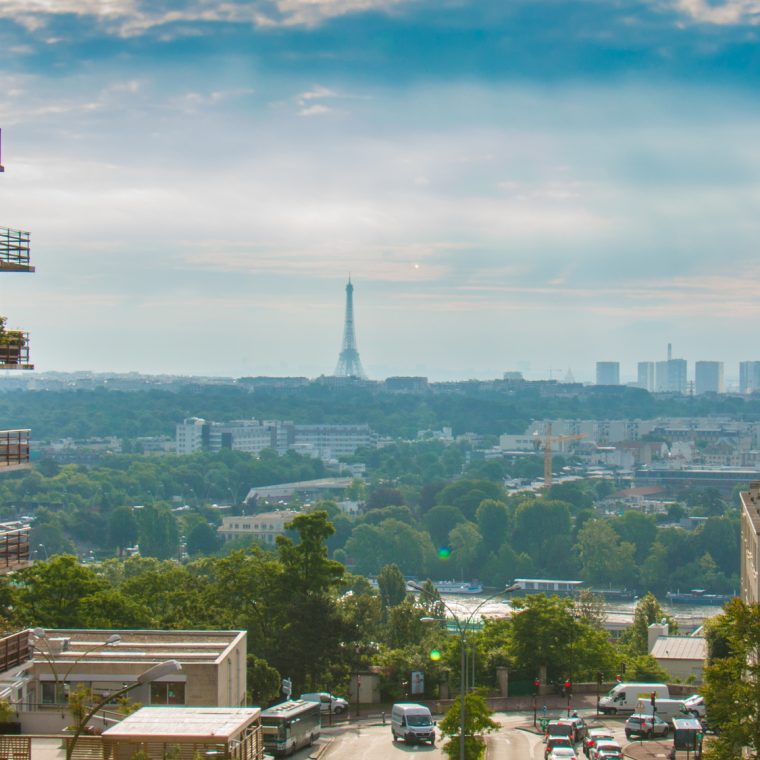Vue sur Paris - Tour Eiffel au loin