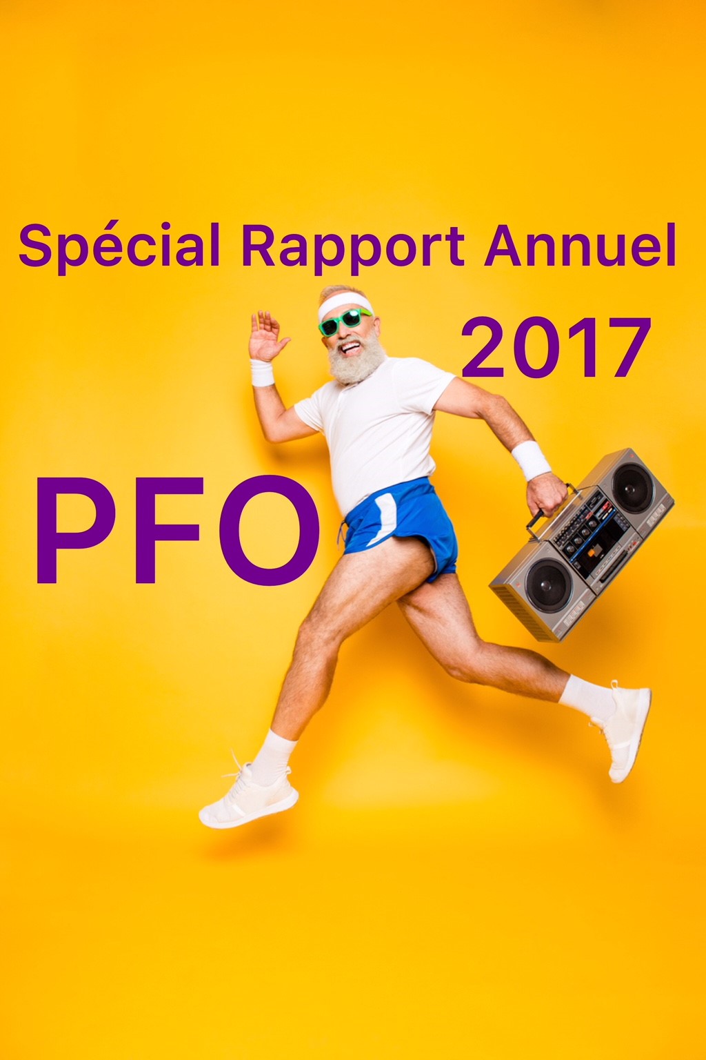 Rapport annuel 2017 PFO