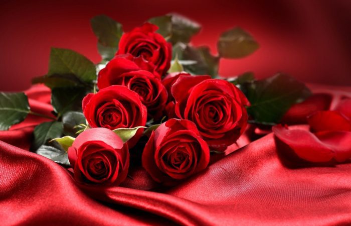 Bouquet de roses rouges