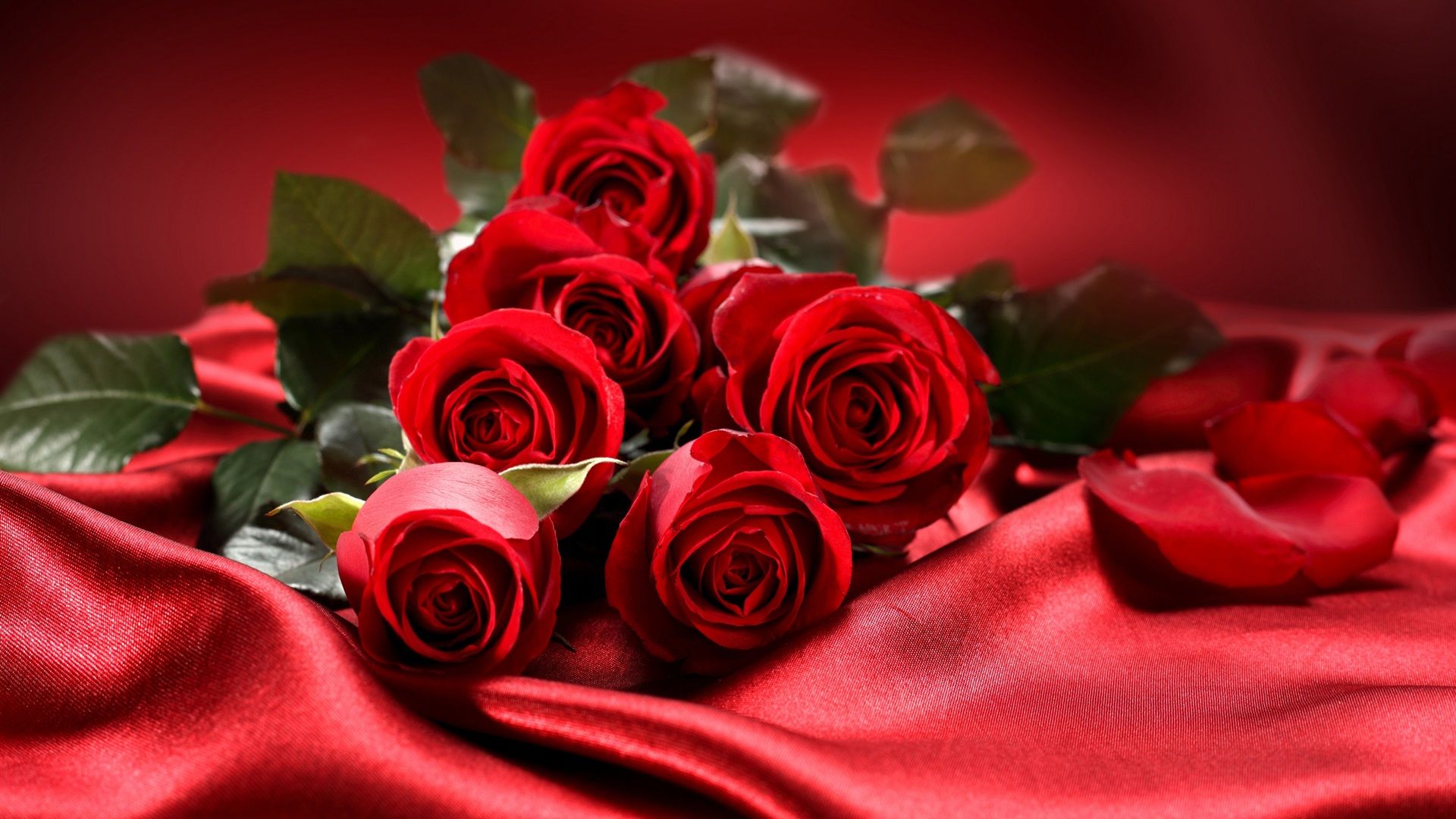 Bouquet de roses rouges