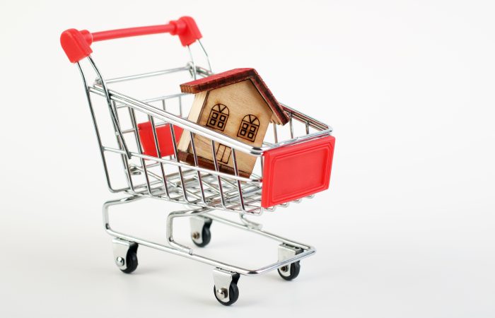 Caddie transportant une maison