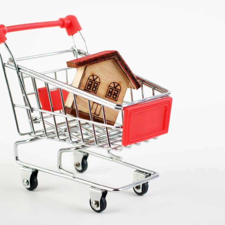 Caddie transportant une maison