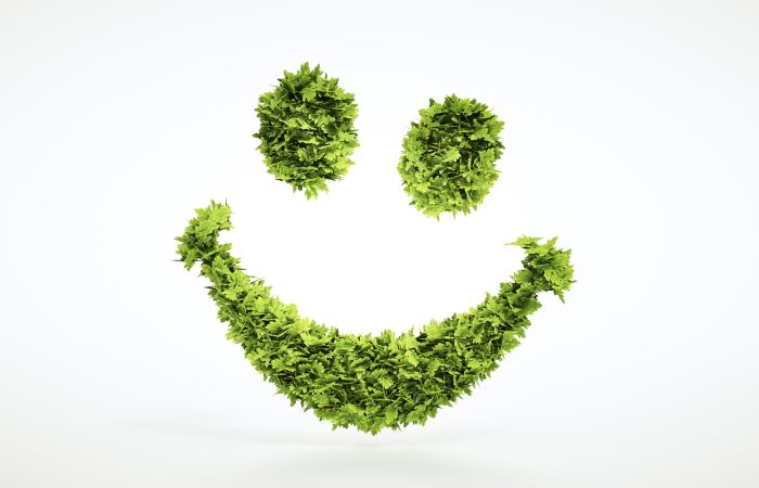 Smiley écologique