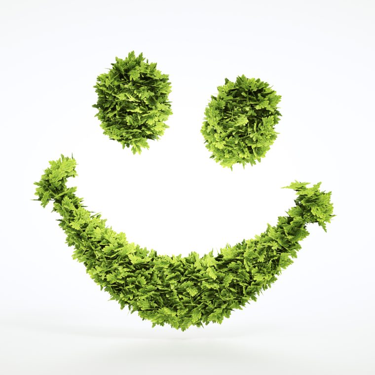 Smiley écologique