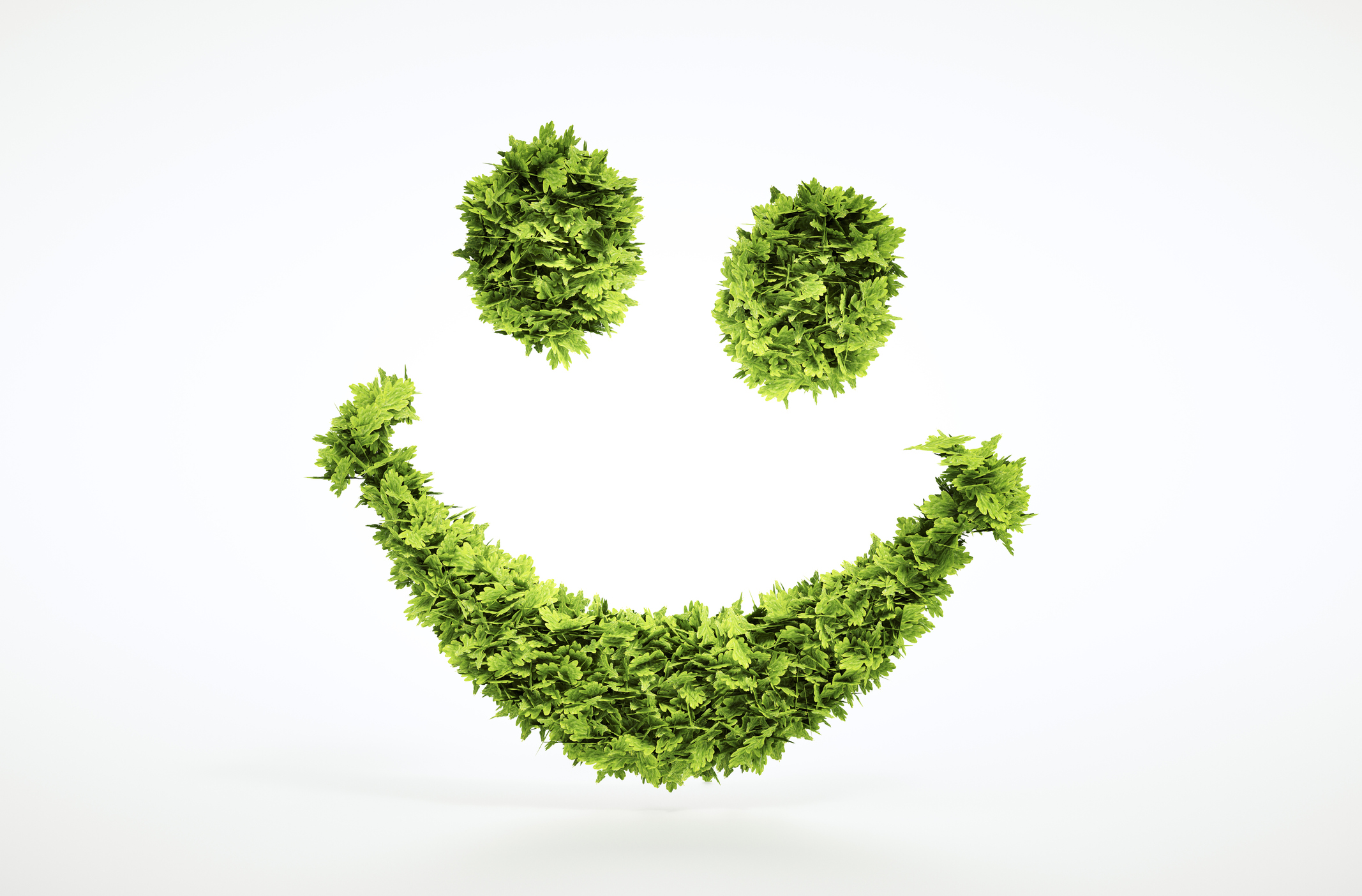 Smiley écologique