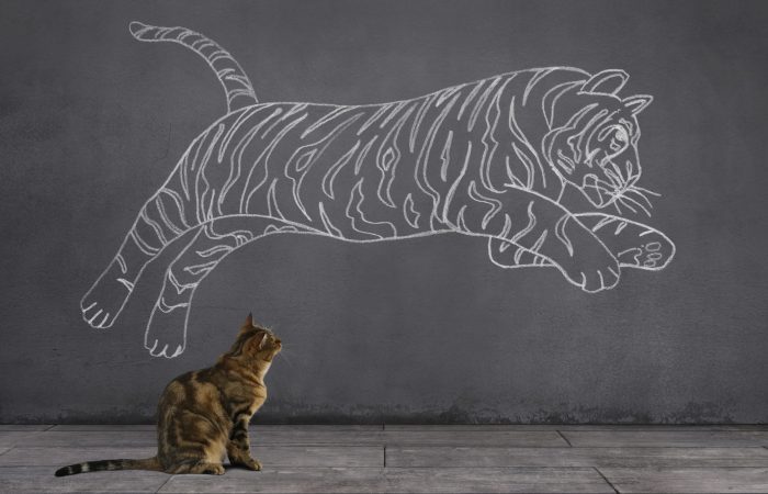 Chat regardant un tigre dessiné sur un mur