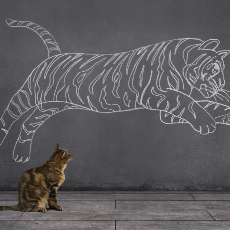 Chat regardant un tigre dessiné sur un mur