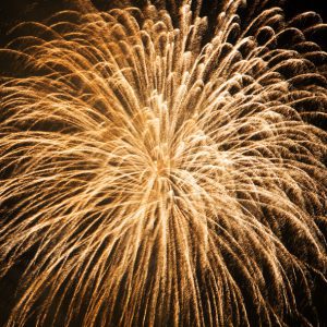 Feux d'artifice monochrome
