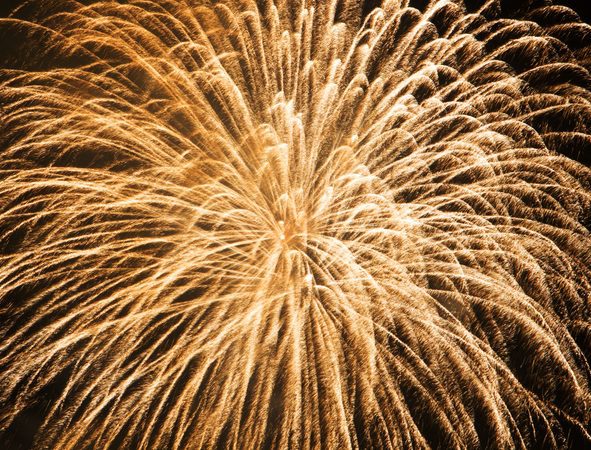 Feux d'artifice monochrome