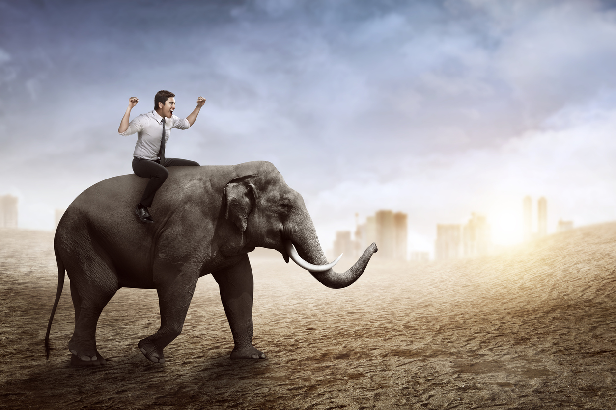 Homme chevauchant un éléphant