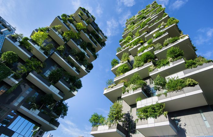 Immeuble murs végétaux