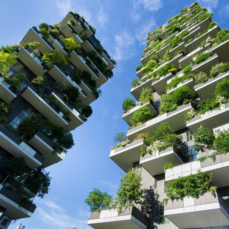 Immeuble murs végétaux