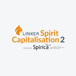 miniature-spirit-capitalisation-2
