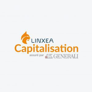 miniature-capitalisation