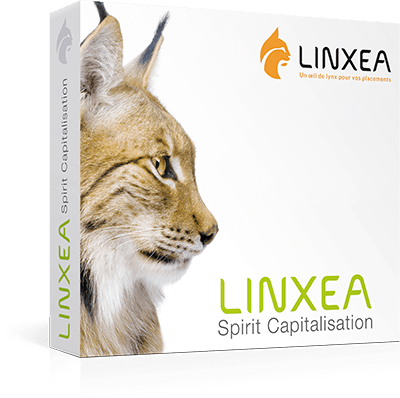 LINXEA Spirit Capitalisation