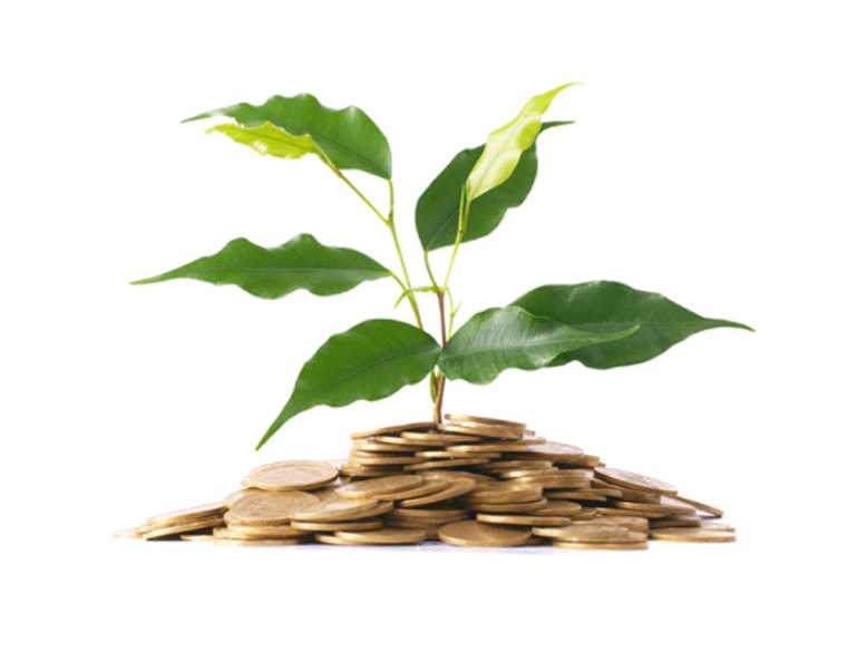 Actualités assurance vie