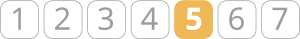 Echelle de risque 5