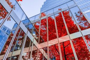 Couleurs d'automne sur façade d'immeuble