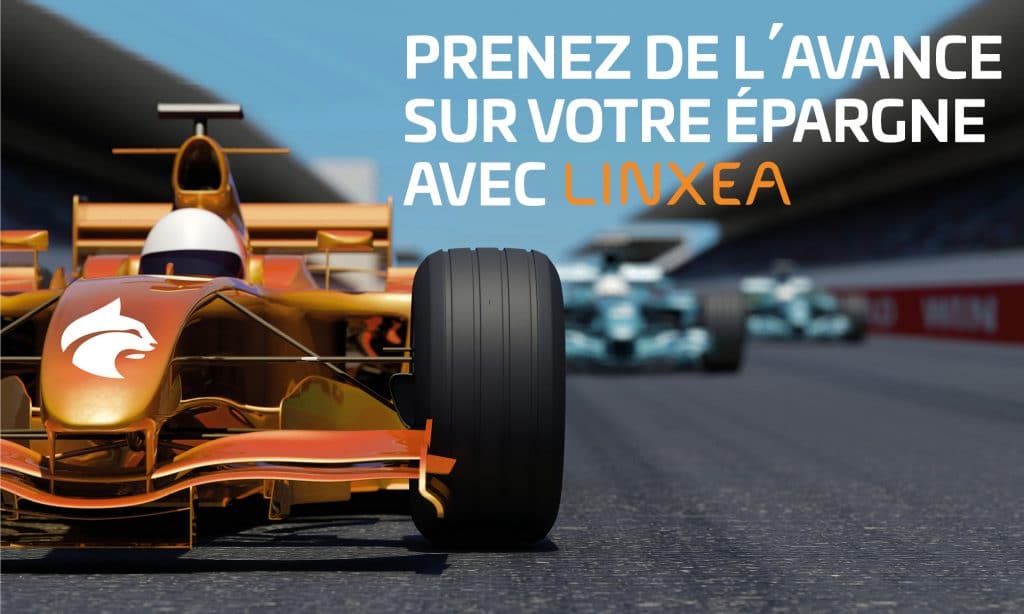 Offre LINXEA Avenir - 100 € offerts pour 2000 € investis sous conditions