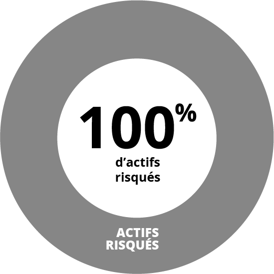 Profil agressif - allocations stars
