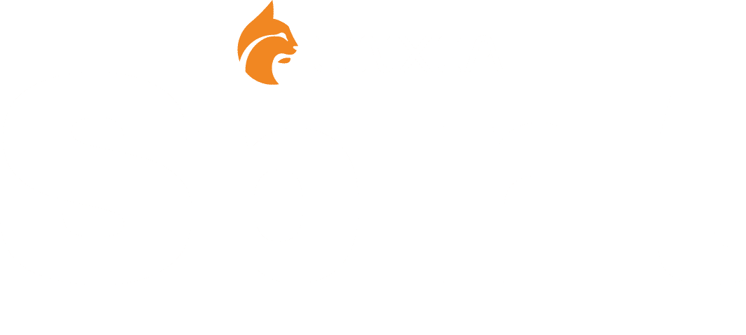LINXEA Spirit