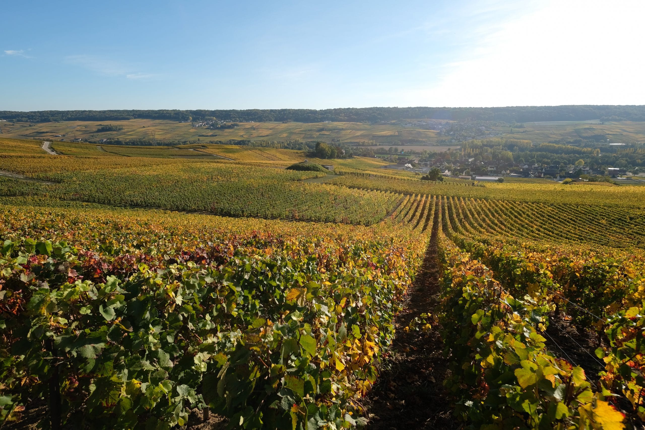 SCPI Foncière Champenoise France Valley II