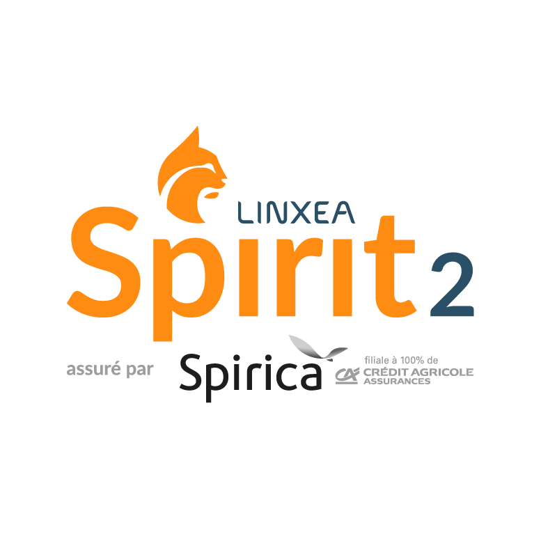 Logo Linxea Spirit 2
